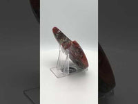 Money Agate Carved Moon #4