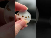 Scenic Dendritic Agate Cabochon #3