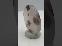 Scenic Dendritic Agate Cabochon #10
