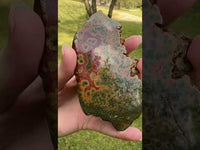 8th Vein Ocean Jasper Slab #1