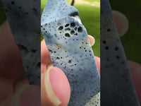 Blue Ridge Coral Heliopora Coerule Tower #4
