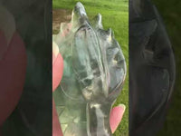 Fluorite Dragon Head Carving #15