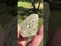 Ocean Jasper Free-form #18