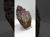 8th Vein Ocean Jasper Slab #40