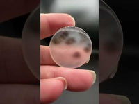 Scenic Dendritic Agate Cabochon #2