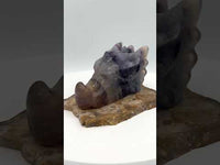Fluorite Dragon Head Carving #10