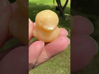 Carved Yellow Stone Duck #1