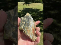 8th Vein Ocean Jasper Slab #133