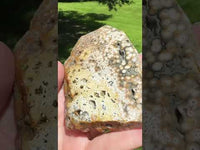 8th Vein Ocean Jasper Slab #98