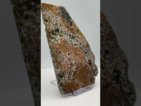 8th Vein Ocean Jasper Slab #24