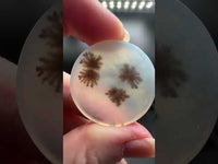 Scenic Dendritic Agate Cabochon #9