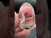 Beautiful Seahorse Garden Quartz Inner Scene Carving #5