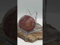 Money Agate Palm Stone #2