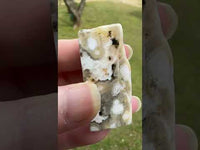 8th Vein Ocean Jasper Polished Free Form #20