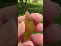 Fluorite Fancy Cut 42x21mm 36.65ct