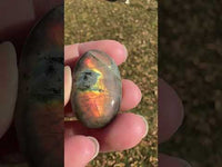 Labradorite Palmstone #26