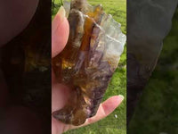 Fluorite Dragon Head Carving #9