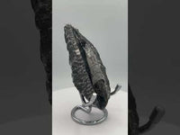 Natural Orthoceras Fossil Specimen #6