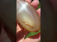 Agate Slice #17