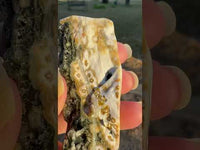 8th Vein Ocean Jasper Polished Free Form #2