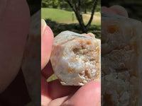 Ocean Jasper Free-form #13