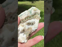 8th Vein Ocean Jasper Slab #62