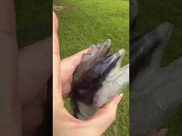 Fluorite Dragon Head Carving #7