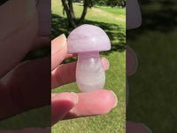 Fluorite Mushroom Carving #23