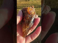 Natural Amber Calcite Raw Specimen UV Reactive #4