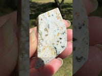 Ocean Jasper Free-form #10