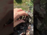 Rough Red Sunstone Specimens