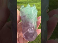 Fluorite Dragon Head Carving #5