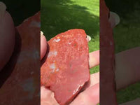 8th Vein Ocean Jasper Slab #56