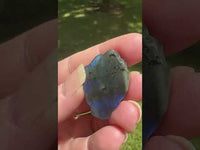 Labradorite Nine-Tailed Fox with Case