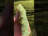 Prehnite mixed with Green Tourmaline Raw Specimen #2