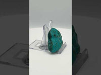 Polished Malachite, Chrysocolla Freeform Zaire, Africa #3