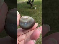 Botswana Agate Semi Tumbled #2