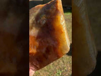 Savannah River Agate Specimen 1e