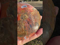 Money Agate Carved Moon #1