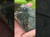 8th Vein Ocean Jasper Slab #32