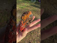 Crocoite, Red Lead Mine, Dundas, Tasmania, Australia