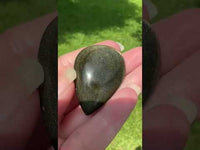 Natural Golden Sheen Obsidian Pearshape Large Cabochon #5