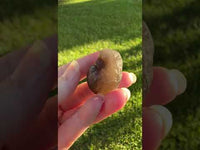 Panda Agate aka Truffle Chalcedony #7