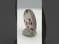 Scenic Dendritic Agate Cabochon #6