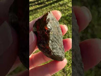 Raw Amber Specimen #6