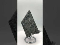 Free Form Pyrite Flowers Symbiosis Mixed Agate Slab #2