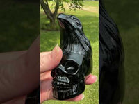 Black Obsidian Skull with Eagle