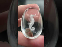 Beautiful Seahorse Garden Quartz Inner Scene Carving #1