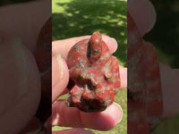Brecciated Jasper Nine-tailed Fox