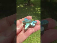 Labradorite Firefly With Case